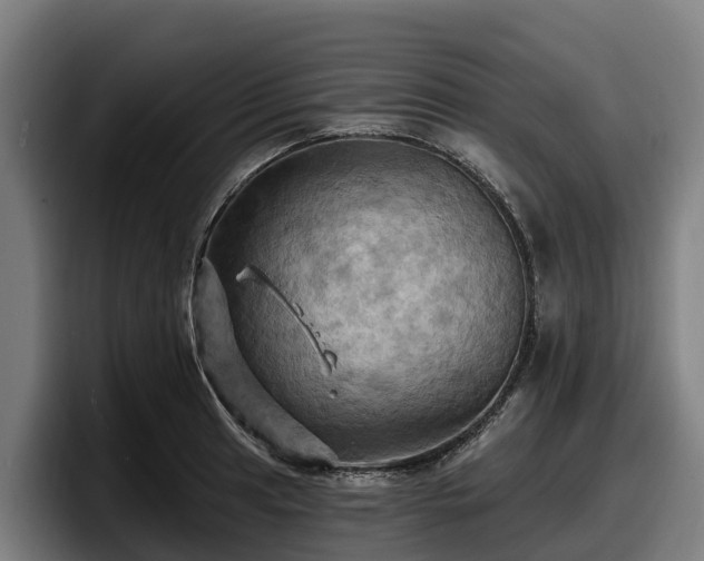 X0000097831041200803201454