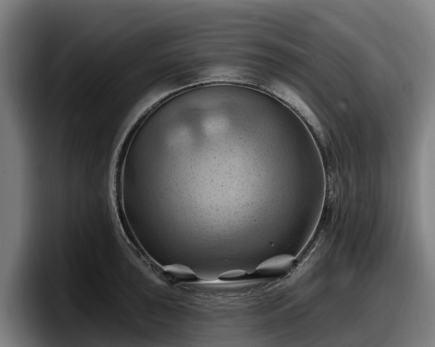 X0000097831043200803201454