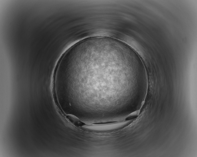 X0000097831044200803201454