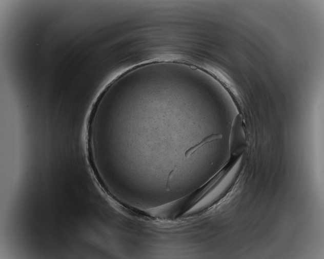 X0000097831046200803201454