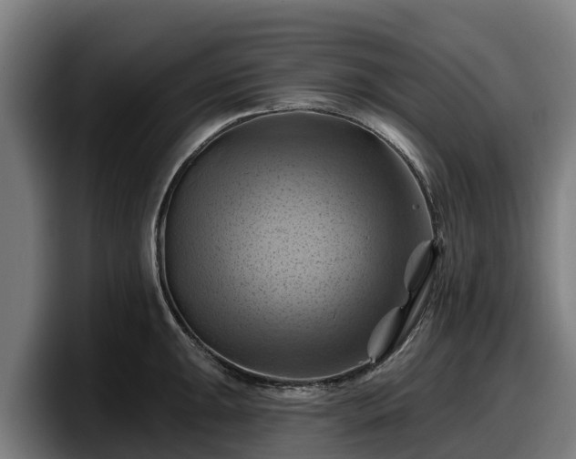 X0000097831047200803201454