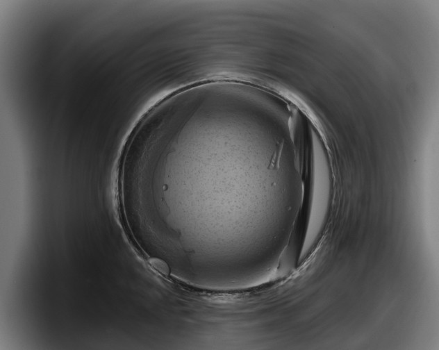X0000097831048200803201454