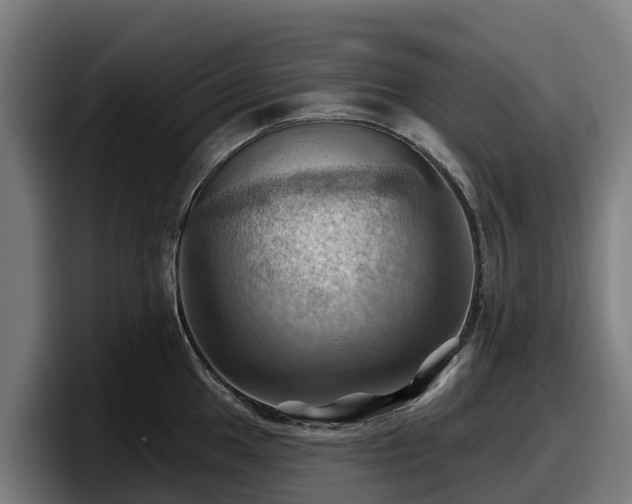 X0000097831049200803201454