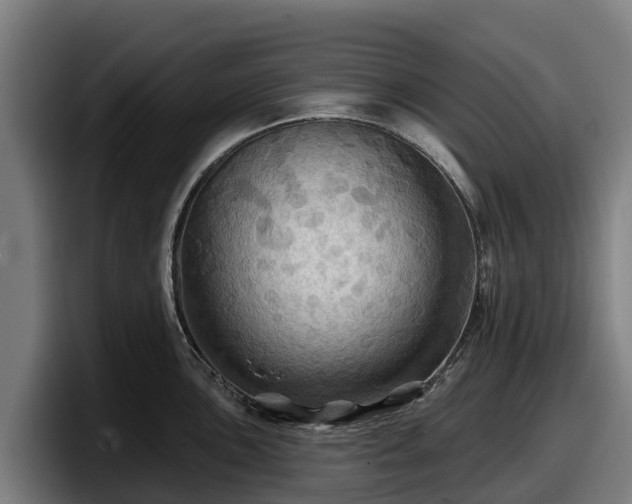 X0000097831051200803201454
