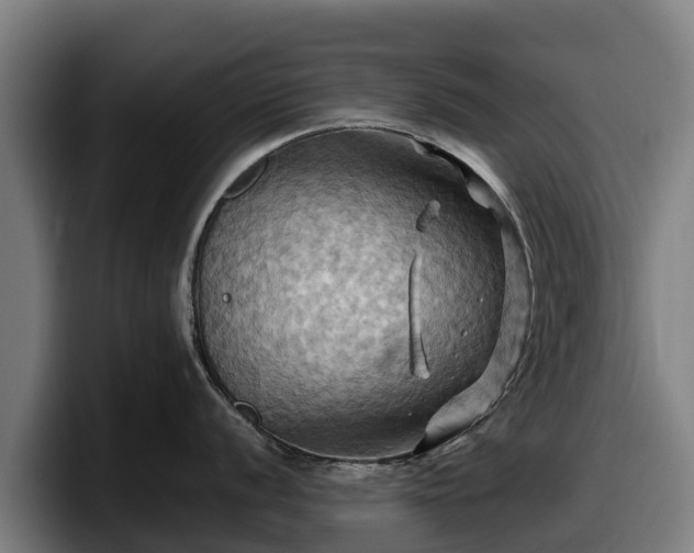 X0000097831056200803201454