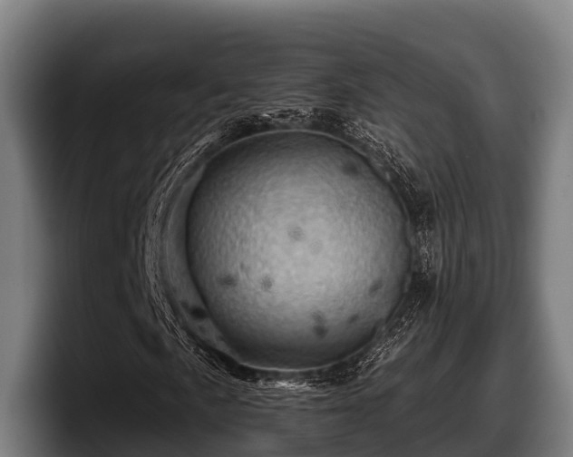 X0000097831057200803201453