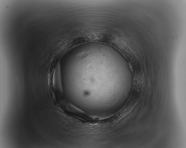 X0000097831058200803201453