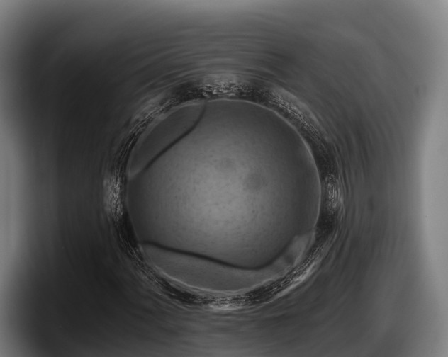 X0000097831060200803201453