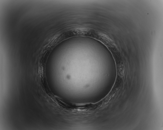X0000097831061200803201453
