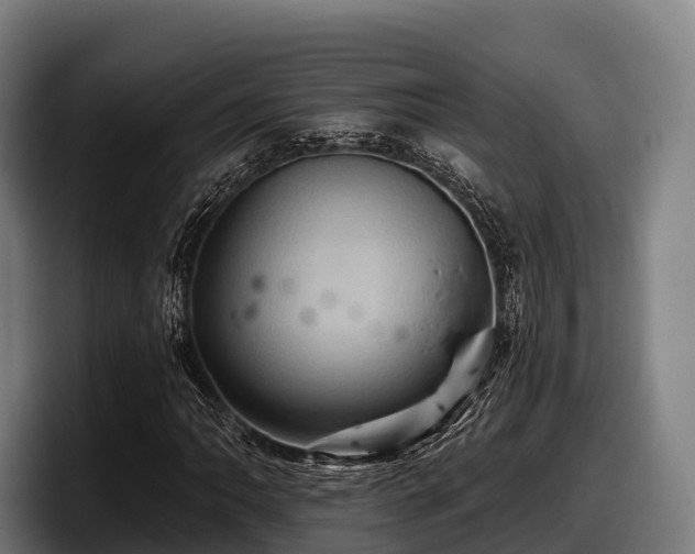 X0000097831062200803201453