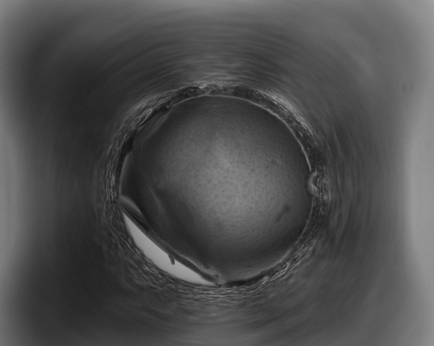 X0000097831063200803201453