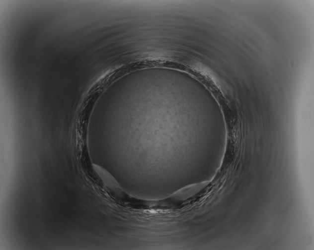 X0000097831064200803201453
