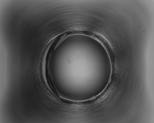 X0000097831065200803201453