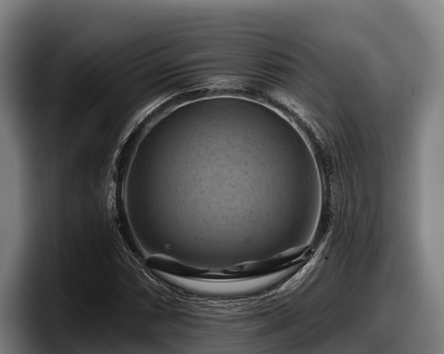 X0000097831066200803201453