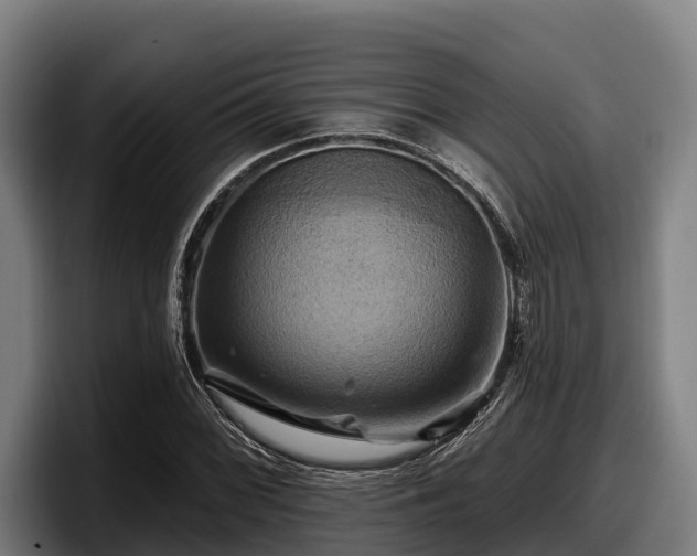 X0000097831068200803201453
