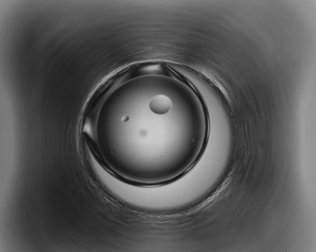 X0000097831069200803201453