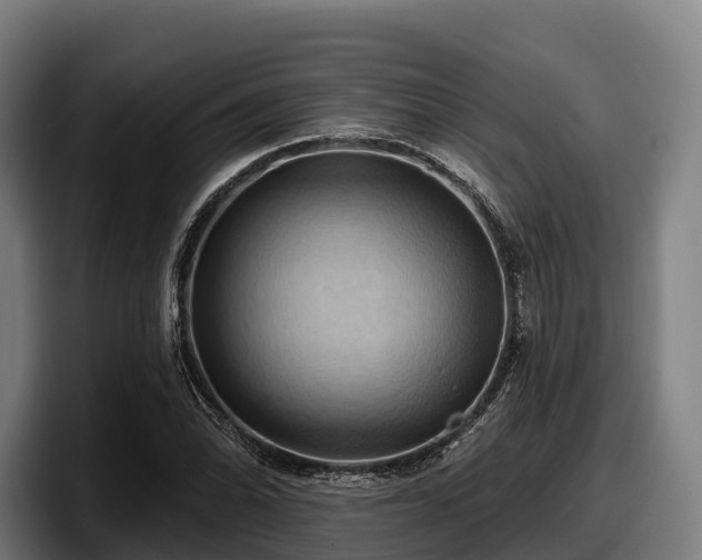 X0000097831070200803201453
