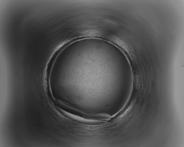 X0000097831071200803201453