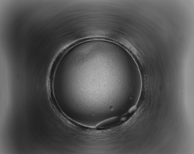 X0000097831072200803201453