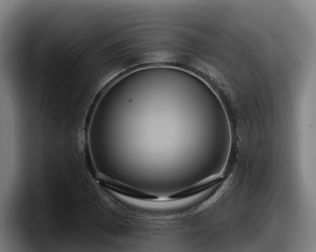 X0000097831073200803201453