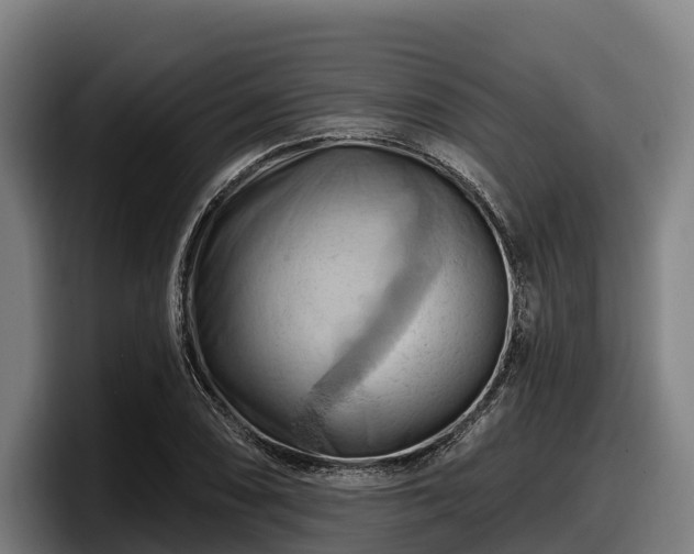 X0000097831074200803201453