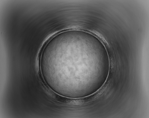 X0000097831078200803201453