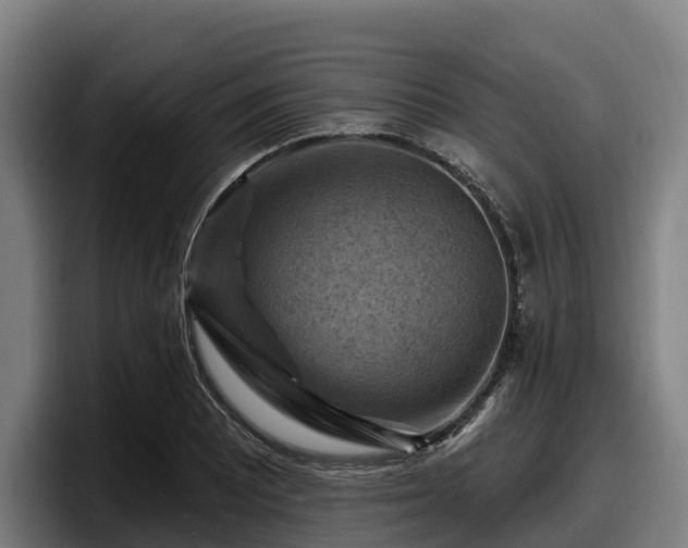 X0000097831081200803201453