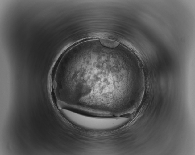 X0000097831083200803201453