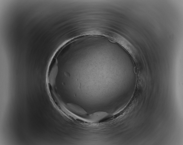 X0000097831084200803201453