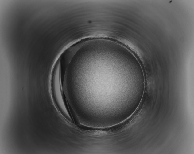 X0000097831085200803201453