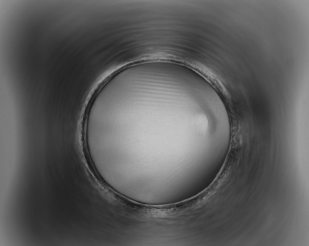 X0000097831086200803201453