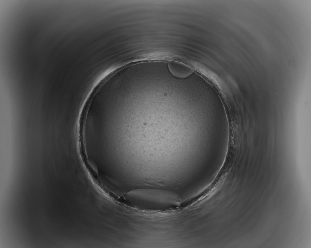 X0000097831087200803201453