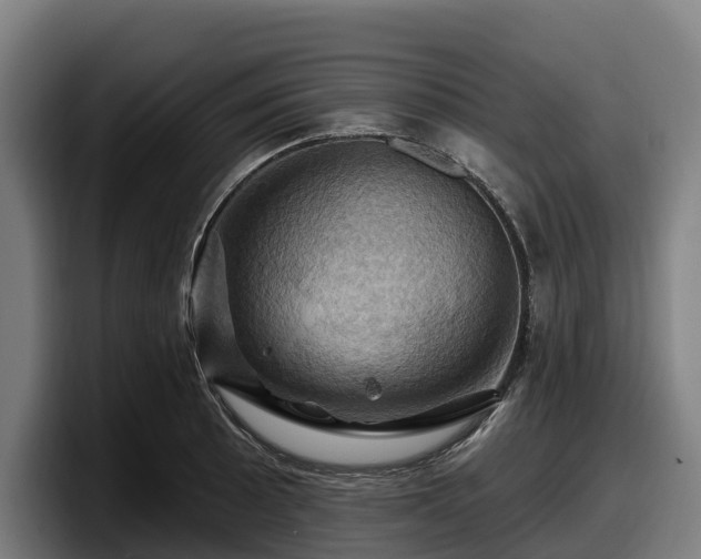 X0000097831089200803201453