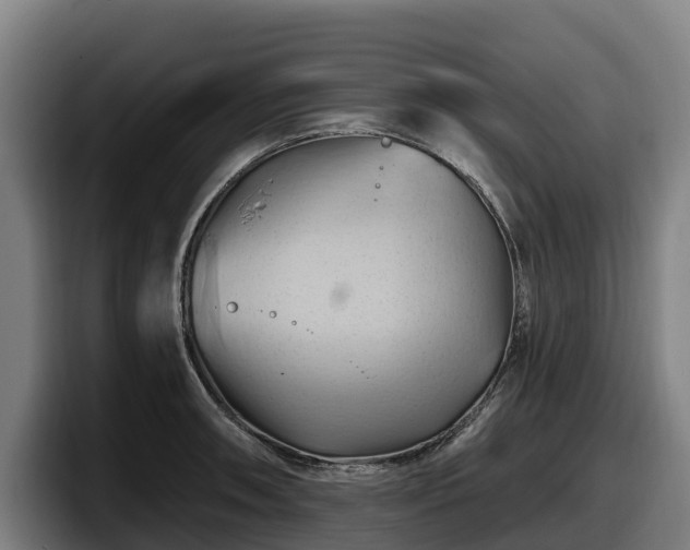 X0000097831090200803201453