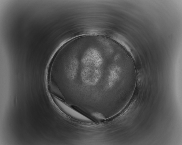 X0000097831091200803201453