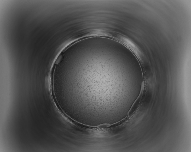 X0000097831092200803201453