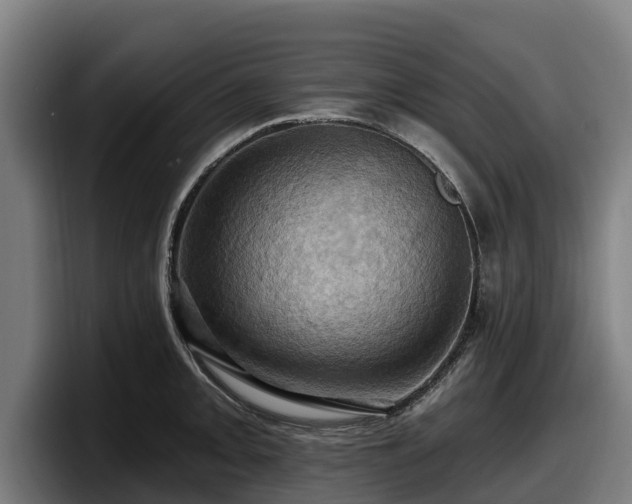 X0000097831093200803201453