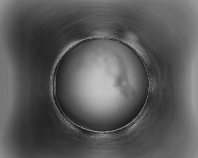 X0000097831094200803201453