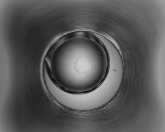 X0000097831096200803201453