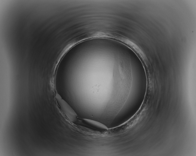 X0000097831097200803201453