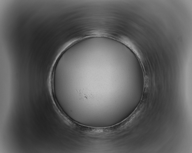 X0000097831098200803201453