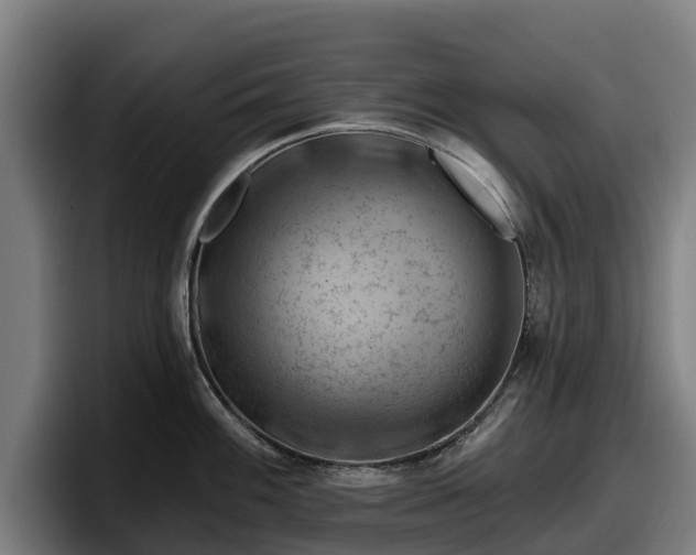 X0000097831100200803201453