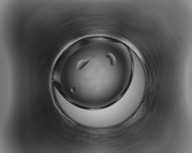 X0000097831101200803201453