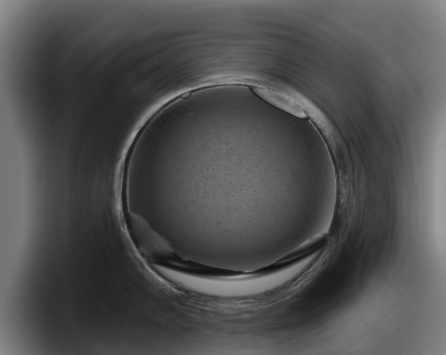 X0000097831102200803201453