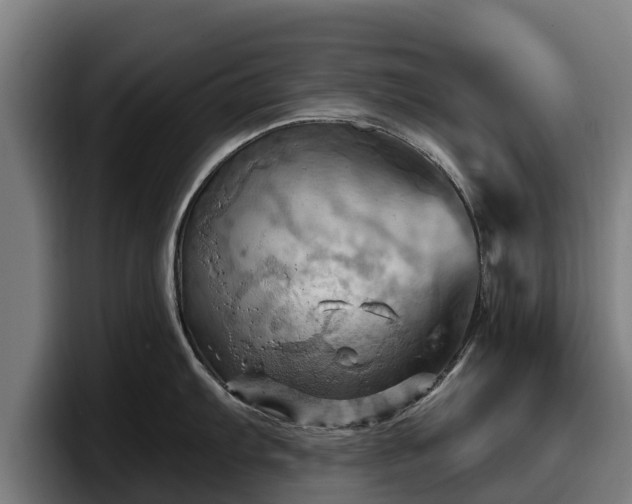 X0000097831103200803201453