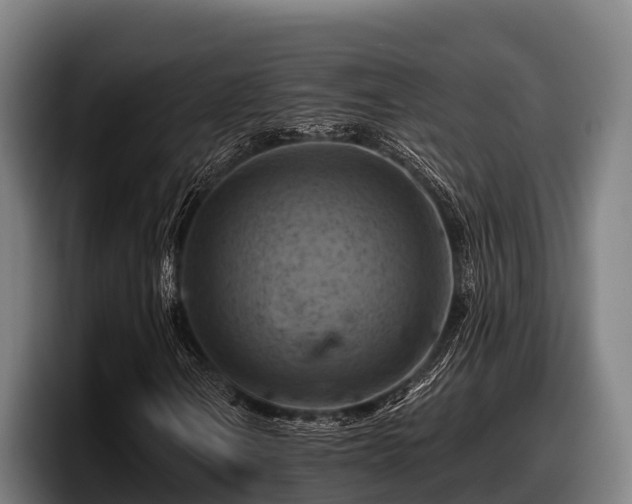 X0000097831106200803201452