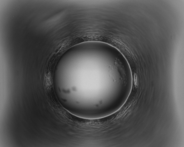 X0000097831107200803201452