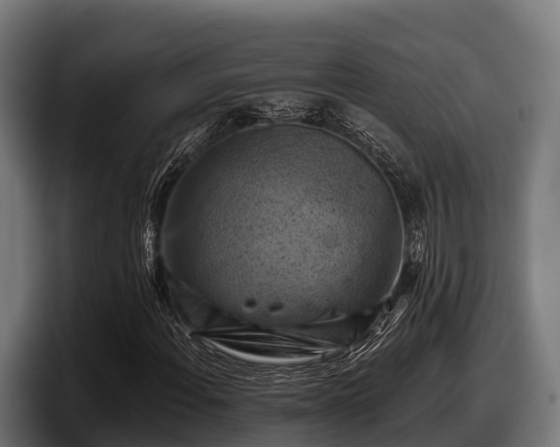 X0000097831108200803201452