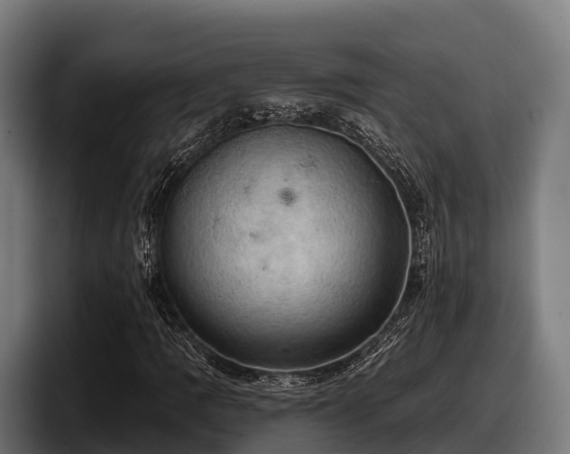 X0000097831109200803201452