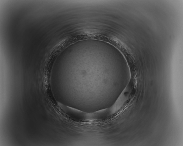 X0000097831110200803201452